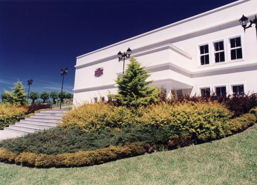Hotel Villa Michelon Bento Gonçalves Buitenkant foto